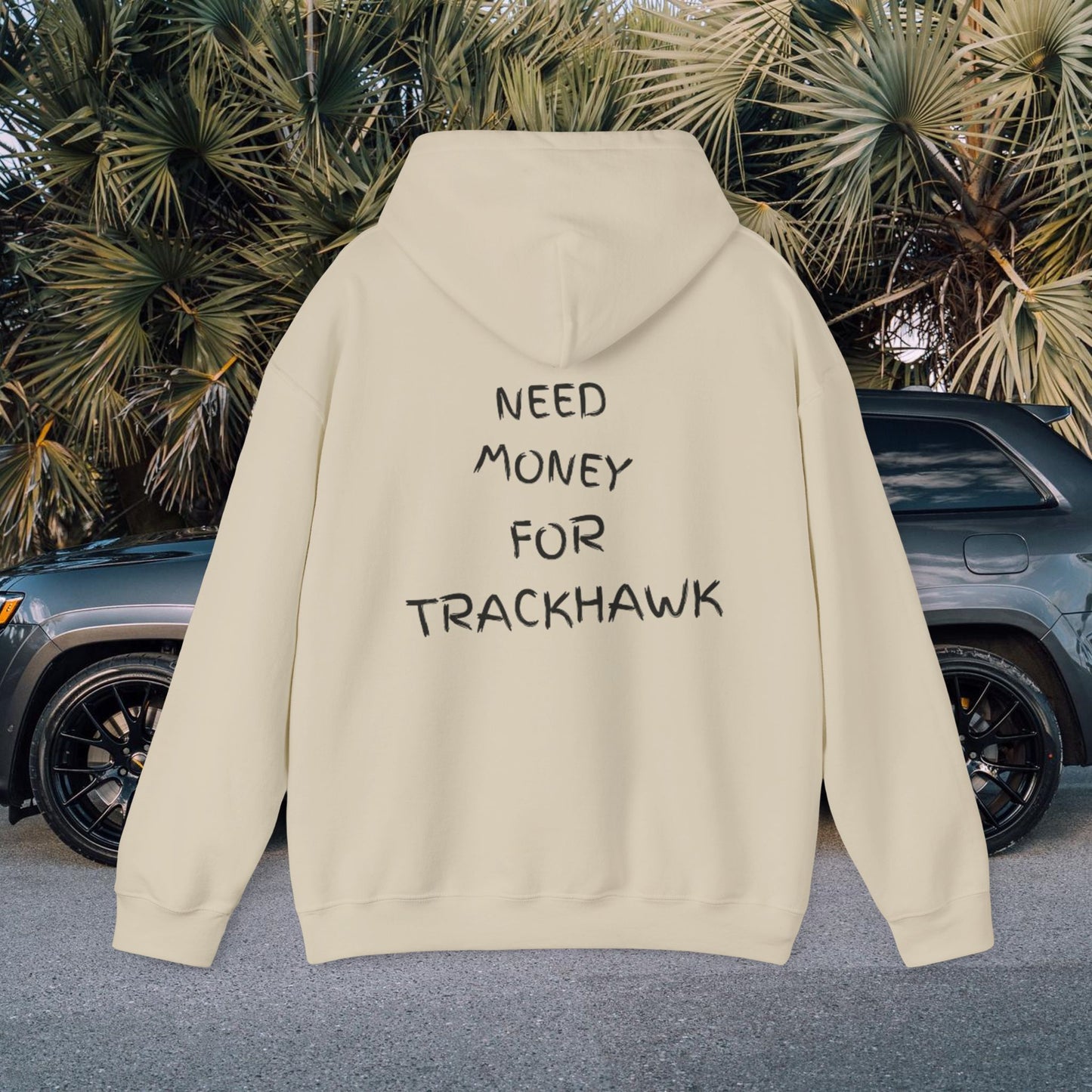 Need Money For Trackhawk Hoodie